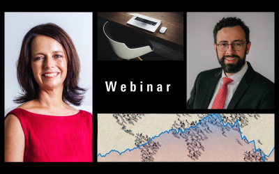 Webinar- *Special Edition* | Election 2024: Cutting through the noise